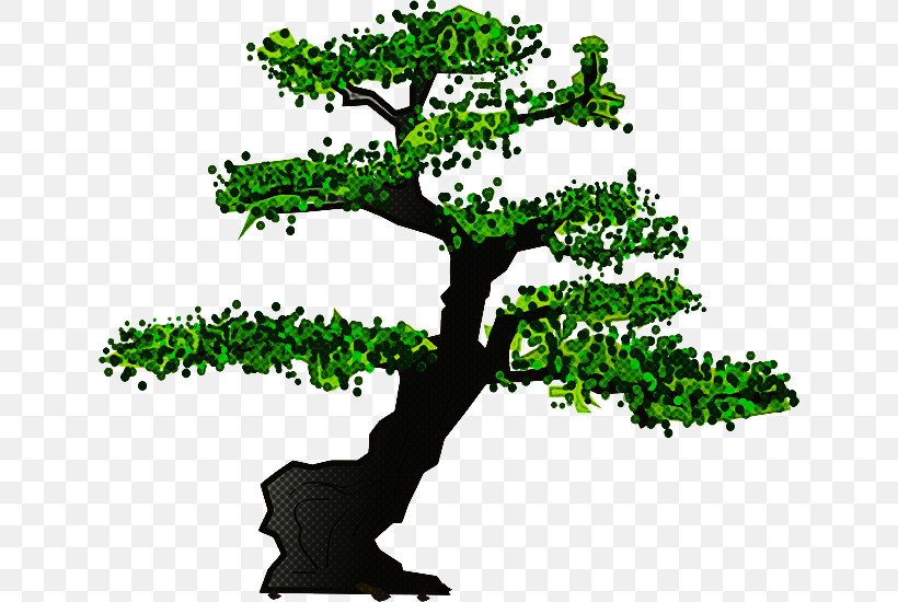 Arbor Day, PNG, 640x550px, Tree, Arbor Day, Bonsai, Branch, Green Download Free