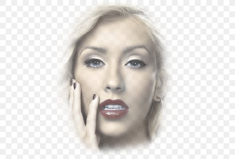Christina Aguilera High-definition Television Desktop Wallpaper High-definition Video Castle Walls, PNG, 471x555px, Watercolor, Cartoon, Flower, Frame, Heart Download Free