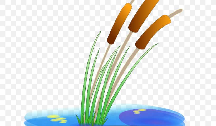 Clip Art Openclipart Free Content Wetland Vector Graphics, PNG, 640x480px, Wetland, Aquatic Plants, Cattail, Grass, Istock Download Free