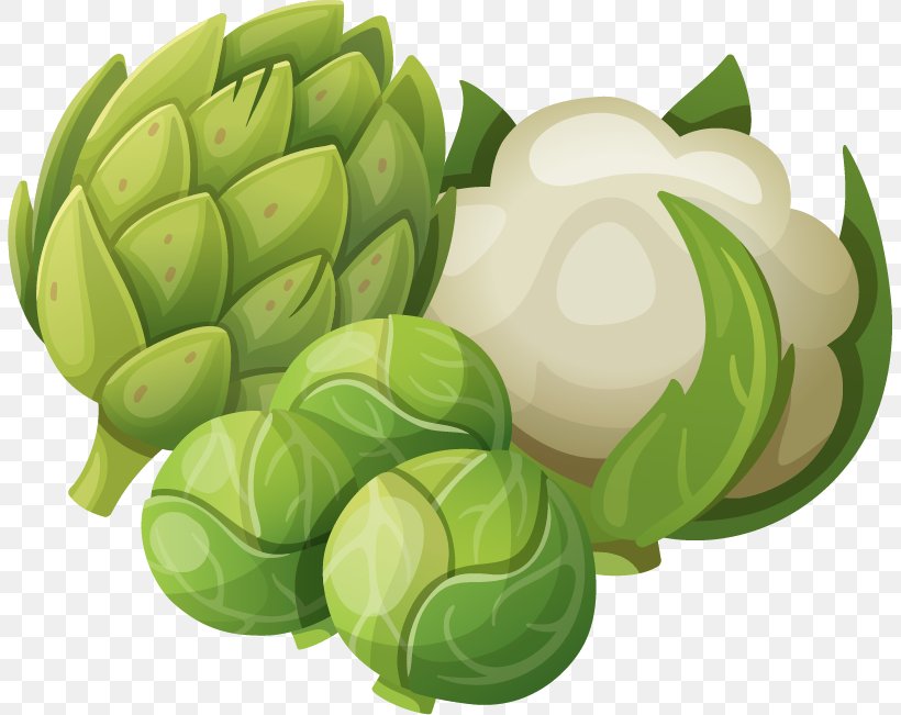 Download Vegetable, PNG, 805x651px, Vegetable, Cartoon, Cdr, Food, Fruit Download Free