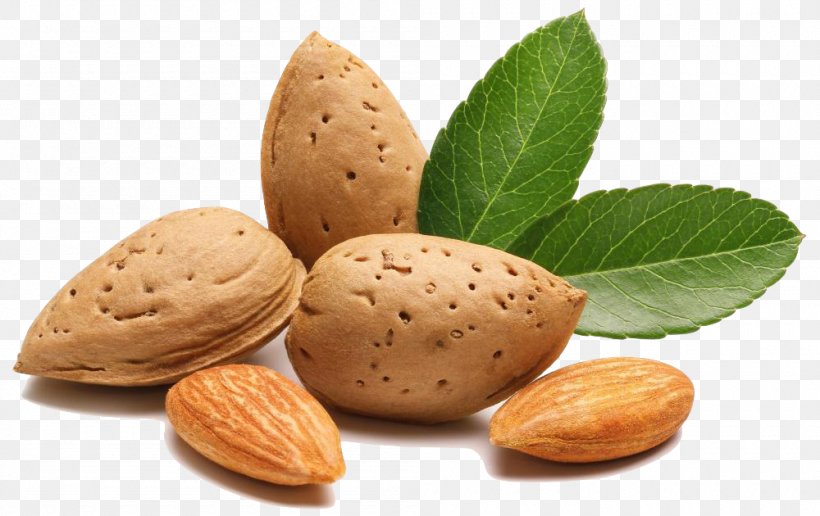 Mixed Nuts Food Walnut Almond, PNG, 1000x630px, Nut, Almond, Eating, Fat, Flavor Download Free