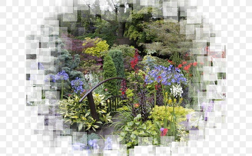 Flower Garden Plans Garden Design, PNG, 650x508px, Garden, Backyard, Flora, Floral Design, Flower Download Free