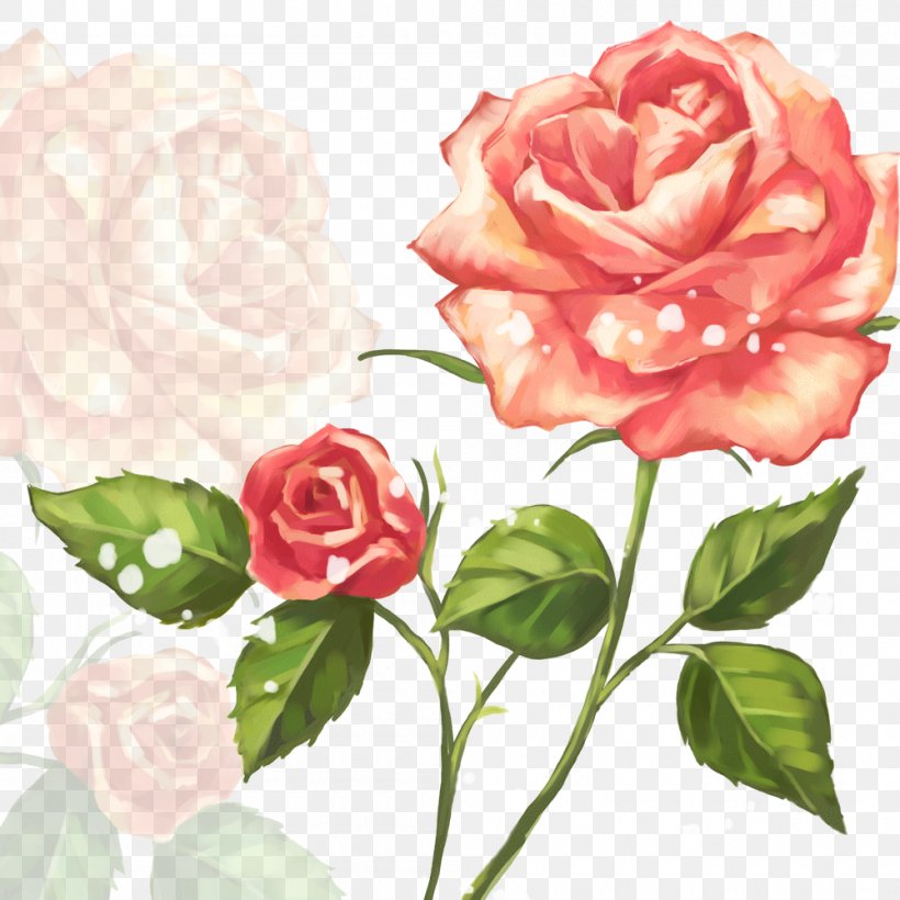 Garden Roses Flower Clip Art, PNG, 1000x1000px, Garden Roses, Beach Rose, Cut Flowers, Floral Design, Floribunda Download Free
