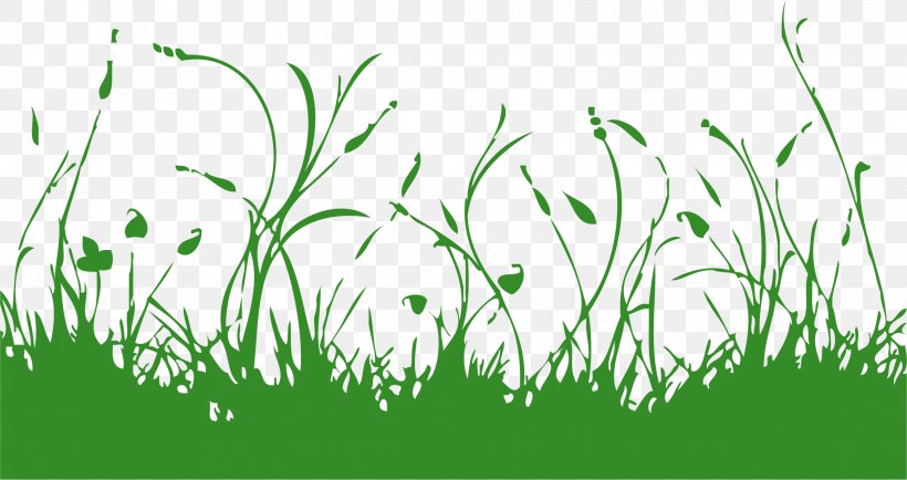 Vector Graphics Euclidean Vector Illustration, PNG, 2274x1204px, Photography, Commodity, Drawing, Grass, Grass Family Download Free