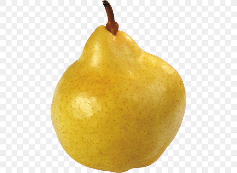 Asian Pear Clip Art Fruit Image, PNG, 471x600px, Asian Pear, Apple, Food, Fruit, Gender Download Free