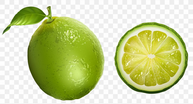 Lemon-lime Drink Persian Lime Clip Art, PNG, 5558x2998px, Lemonlime Drink, Bitter Orange, Citric Acid, Citron, Citrus Download Free