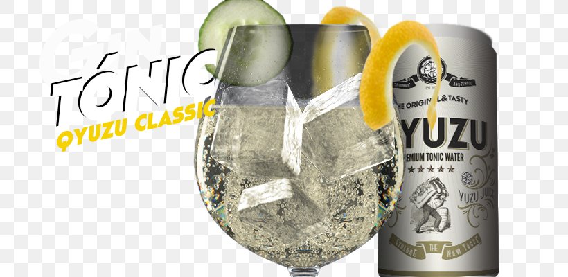 Tonic Water Gin And Tonic Drink Mixer Dictionary Liqueur, PNG, 740x400px, Tonic Water, Alcoholic Beverage, Bottle, Cramp, Definition Download Free