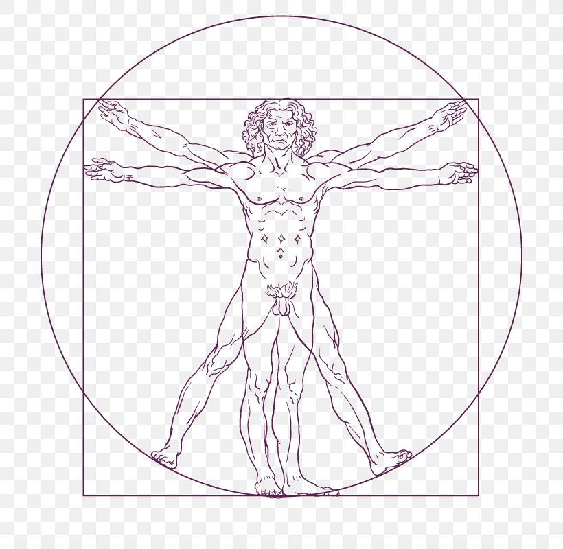 Vitruvian Man Drawing Art Photography, PNG, 800x800px, Watercolor, Cartoon, Flower, Frame, Heart Download Free