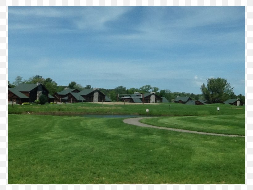 Golf Clubs Property Land Lot Grassland, PNG, 1024x768px, Golf Clubs, Estate, Farm, Field, Golf Download Free