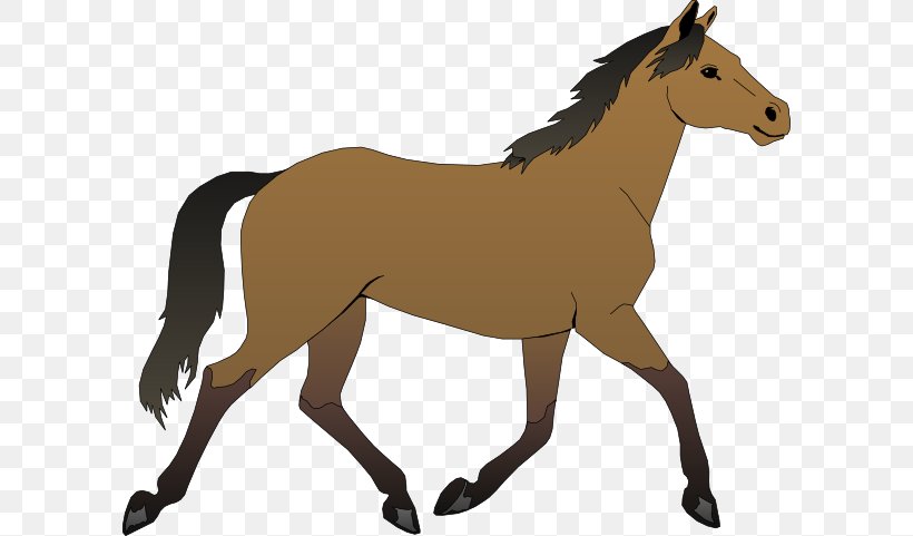 Horse Foal Pony Colt Clip Art, PNG, 600x481px, Horse, Bay, Black, Colt, Cuteness Download Free