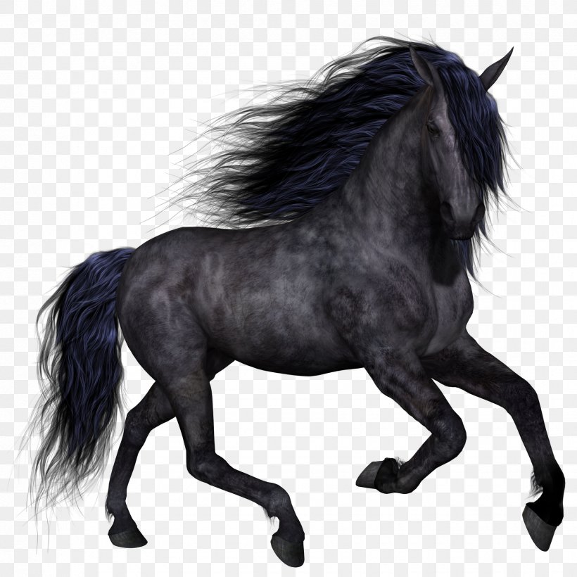 Horse Pony Clip Art, PNG, 1750x1750px, Horse, Black And White, Bridle, Digital Image, File Size Download Free