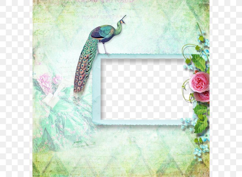Picture Frame Peafowl Bordiura, PNG, 600x600px, Picture Frame, Blog, Bordiura, Bordure, Digital Photo Frame Download Free