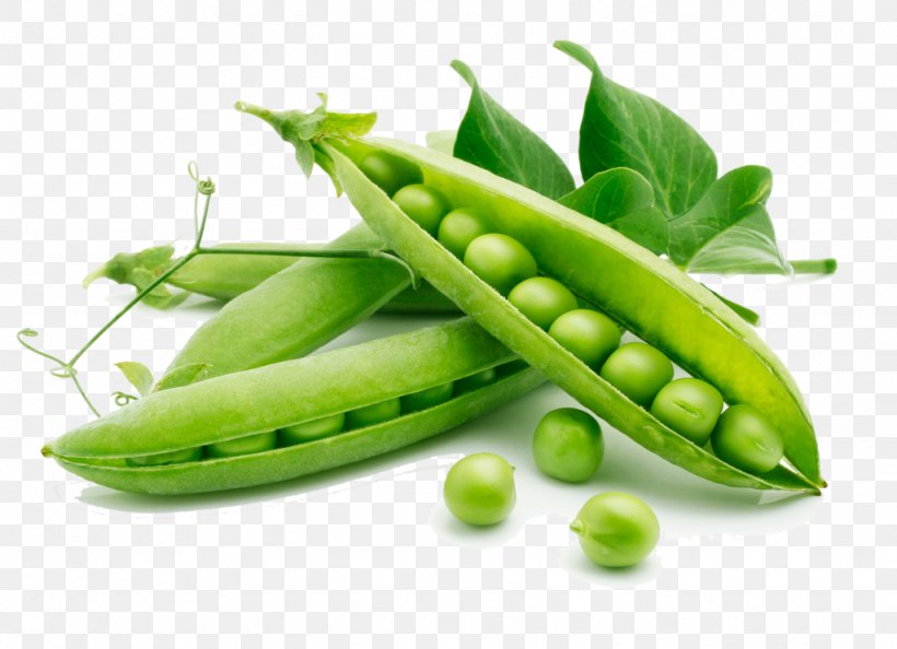 Snow Pea Vegetable Freezing Food Bean, PNG, 1024x743px, Pea, Allergen, Bean, Eating, Food Download Free