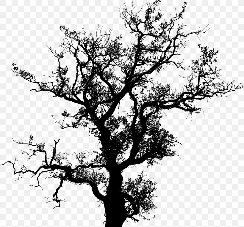Tree Drawing Silhouette, PNG, 2292x2138px, Tree, Art, Black And White, Branch, Drawing Download Free