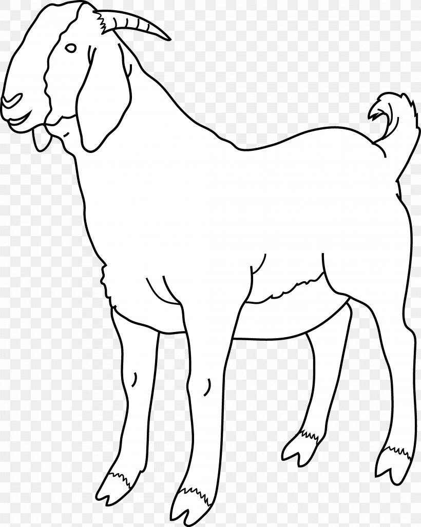 Boer Goat Black Bengal Goat Sheep Clip Art PNG 4202x5266px Boer Goat 