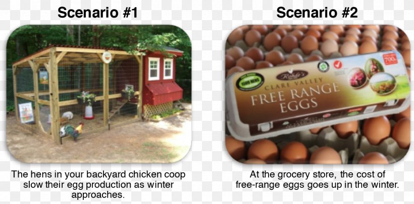 Chicken Free-range Eggs Free Range Agriculture, PNG, 1600x792px, Chicken, Agricultural Literacy, Agriculture, Agriculture In The Classroom, Australia Download Free