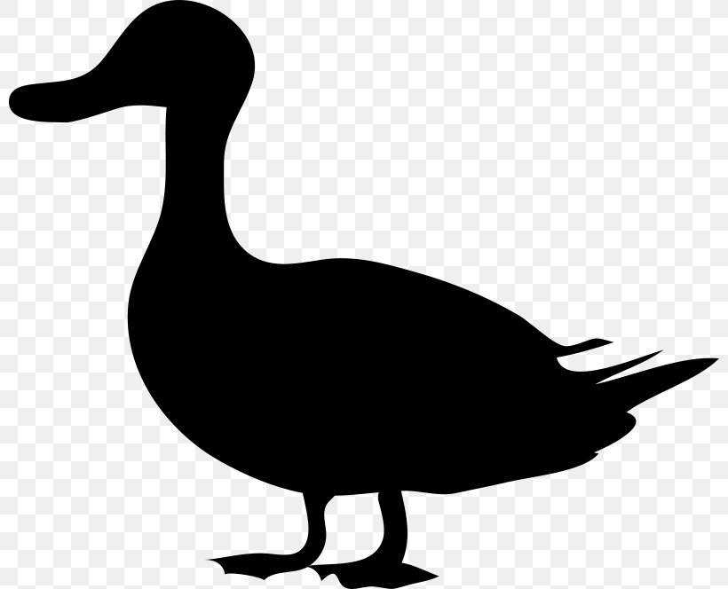 Duck Mallard Goose Silhouette Clip Art, PNG, 800x664px, Duck, Anatidae, Anseriformes, Art, Artwork Download Free
