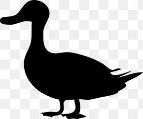 Duck Mallard Goose Silhouette Clip Art, PNG, 1280x1062px, Duck ...