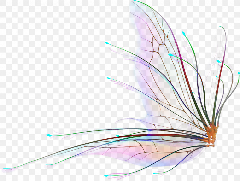 Feather, PNG, 1600x1211px, Feather, Plant, Quill, Wing Download Free