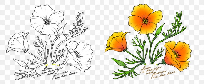 Floral Design California Poppy Watercolor Painting Drawing, PNG, 1024x423px, Floral Design, Art, Artwork, California Poppy, Cut Flowers Download Free