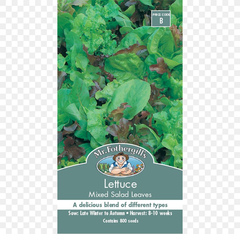 Leaf Vegetable Kale Seed Cucumber, PNG, 800x800px, Leaf, Auglis, Corn Salad, Cucumber, Curly Kale Download Free