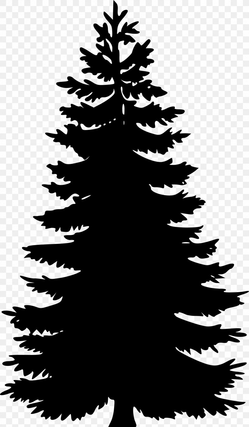 Pine Tree Fir Silhouette Clip Art, PNG, 1396x2400px, Pine, Black And White, Branch, Christmas Decoration, Christmas Ornament Download Free