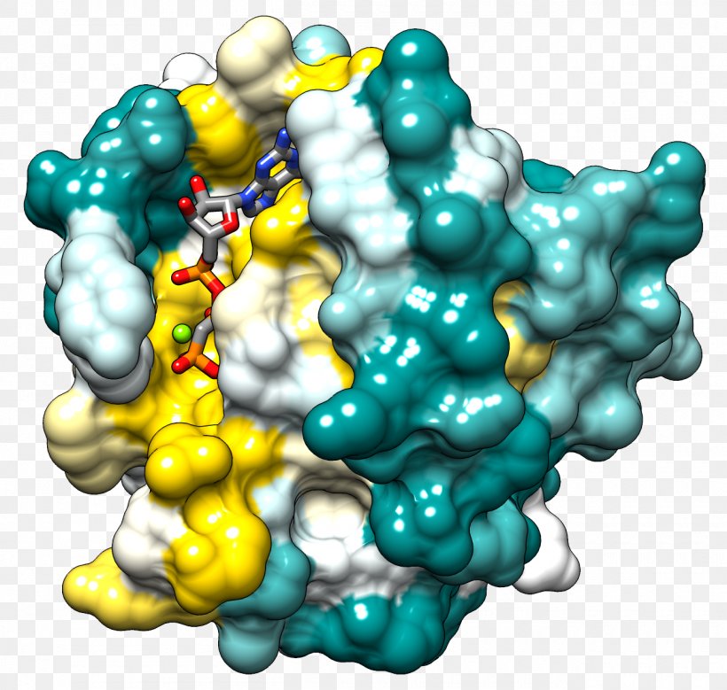 Ras Subfamily HRAS Protein Family Small GTPase, PNG, 1300x1236px, Ras Subfamily, Art, Cell, Cell Signaling, G Protein Download Free