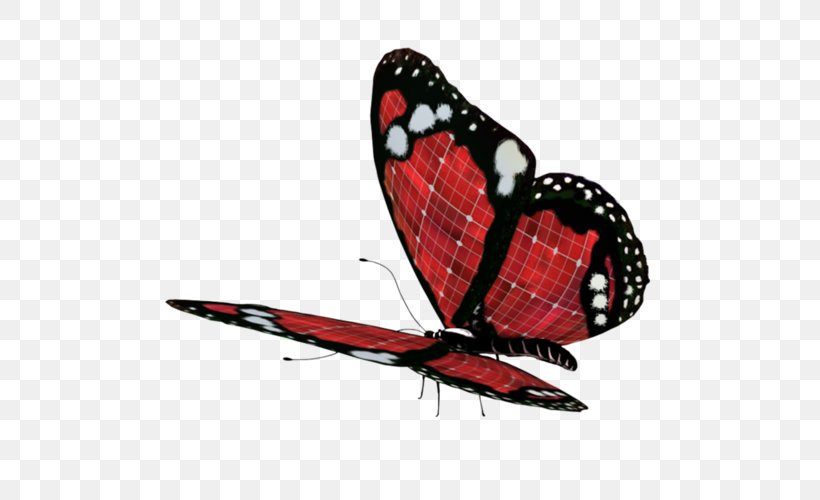 Butterfly Clip Art, PNG, 500x500px, Butterfly, Arthropod, Bedding, Brush, Butterflies And Moths Download Free