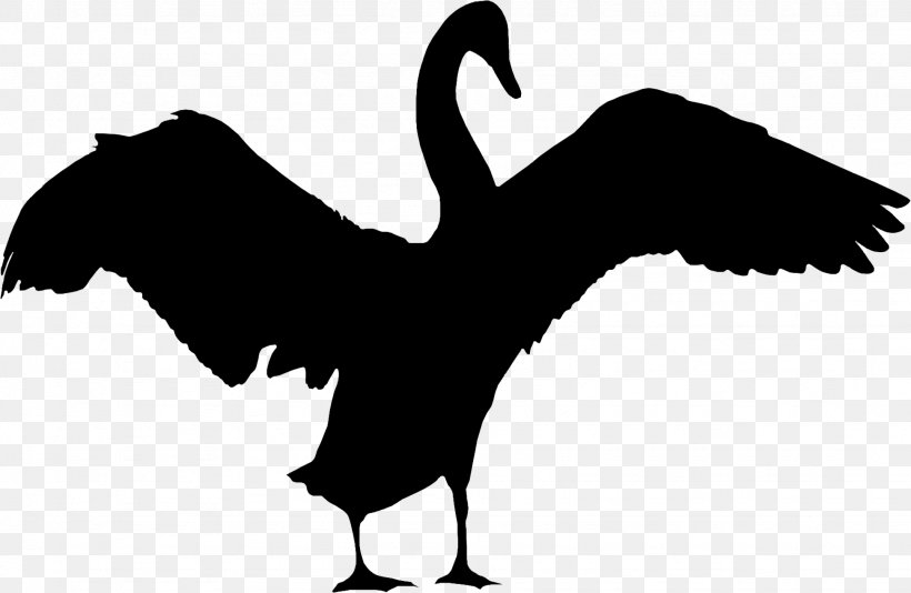 Cygnini Goose Beak Bird Duck, PNG, 1946x1268px, Cygnini, Beak, Bird, Blackandwhite, Crane Download Free