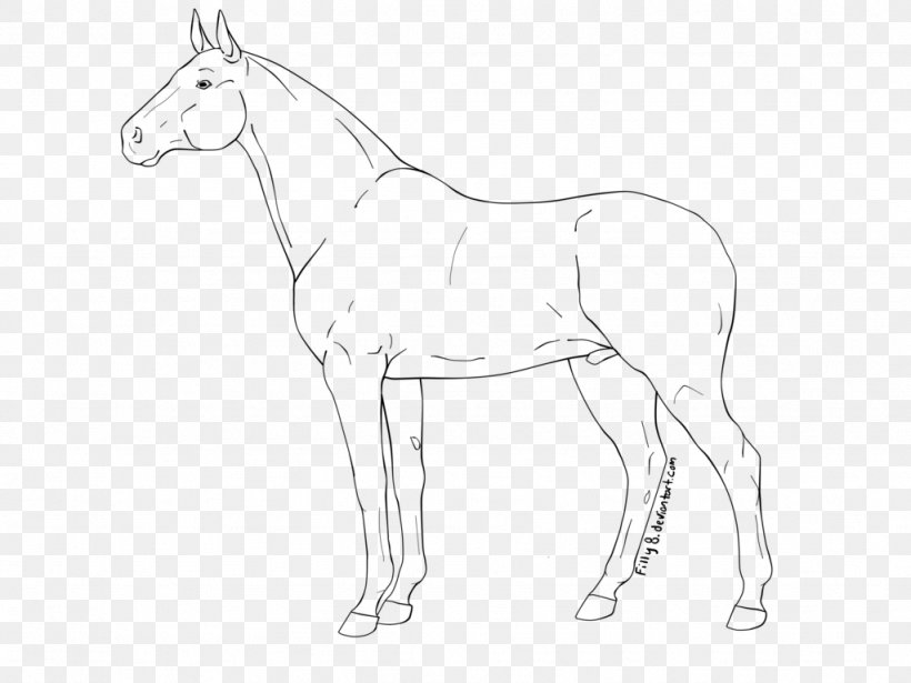 Line Art Stallion Mule Drawing, PNG, 1024x769px, Line Art, Animal Figure, Art, Artist, Artwork Download Free
