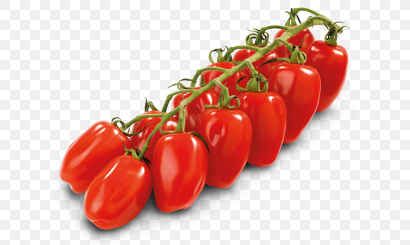 Tomato, PNG, 688x490px, Natural Foods, Bell Pepper, Bush Tomato, Capsicum, Cherry Tomatoes Download Free