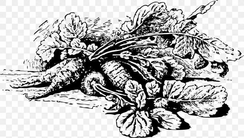 Vegetable Daikon Turnip Clip Art, PNG, 1920x1089px, Vegetable, Art, Artwork, Black And White, Daikon Download Free