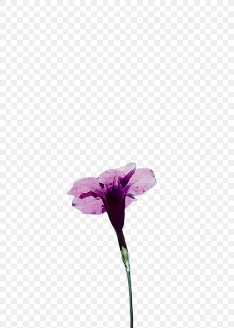 Flower Flowering Plant Purple Violet Plant, PNG, 1692x2364px, Watercolor, Flower, Flowering Plant, Iris, Paint Download Free