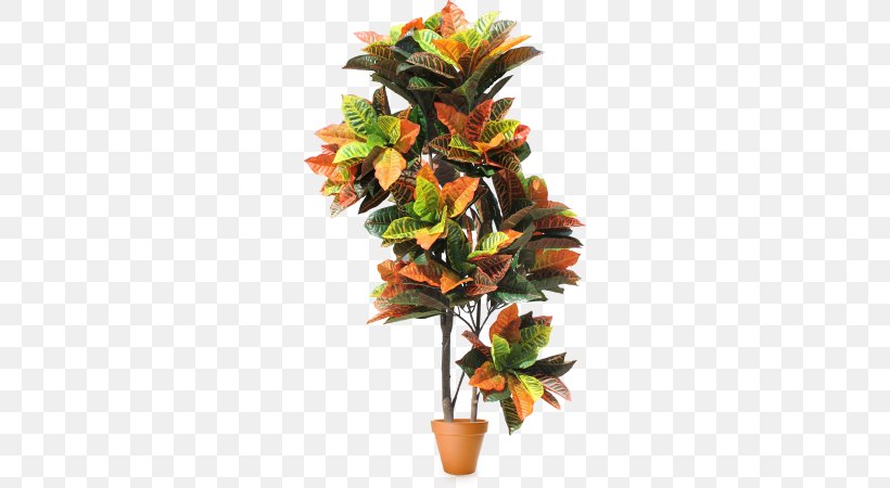Cut Flowers Houseplant Tropics, PNG, 690x450px, Cut Flowers, Artificial Flower, Bamboo, Floral Design, Flower Download Free