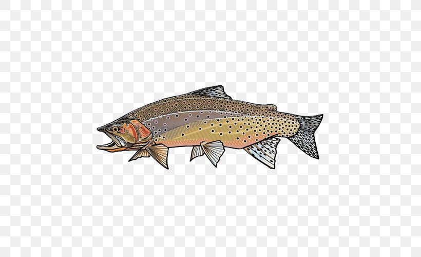 Salmon Westslope Cutthroat Trout Lahontan Cutthroat Trout Rainbow Trout, PNG, 500x500px, Salmon, Angling, Bony Fish, Brook Trout, Cutthroat Trout Download Free