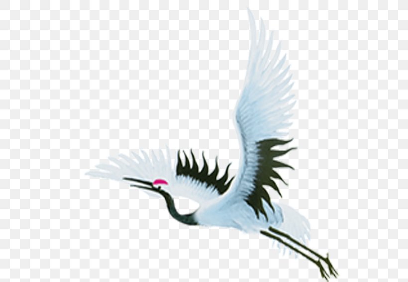Flight Crane Clip Art, PNG, 567x567px, Flight, Animation, Beak, Bird, Crane Download Free