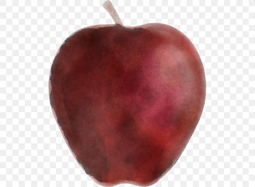 Fruit Apple Apple, PNG, 507x600px, Fruit, Apple Download Free