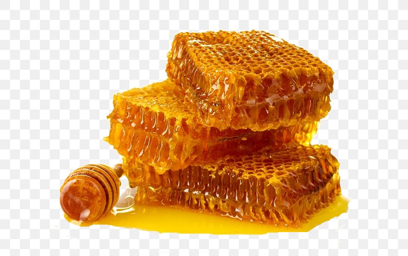Honey Bee Honeycomb Organic Food, PNG, 700x514px, Honey, Bee, Beekeeper, Beekeeping, Food Download Free