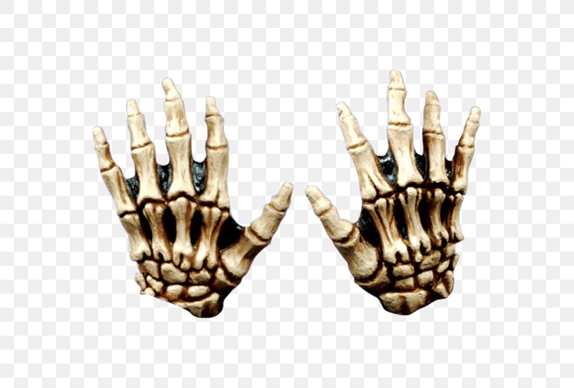 Human Skeleton Bone Hand Costume, PNG, 555x555px, Skeleton, Bone, Clothing Accessories, Color, Costume Download Free