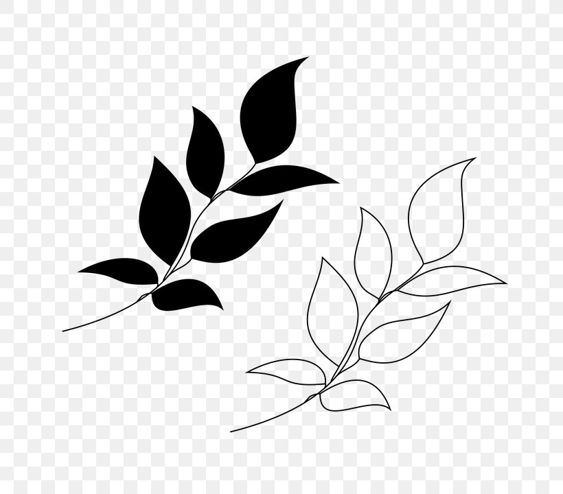 Leaf Branch Plant Black-and-white Twig, PNG, 720x720px, Leaf, Blackandwhite, Branch, Flower, Plant Download Free
