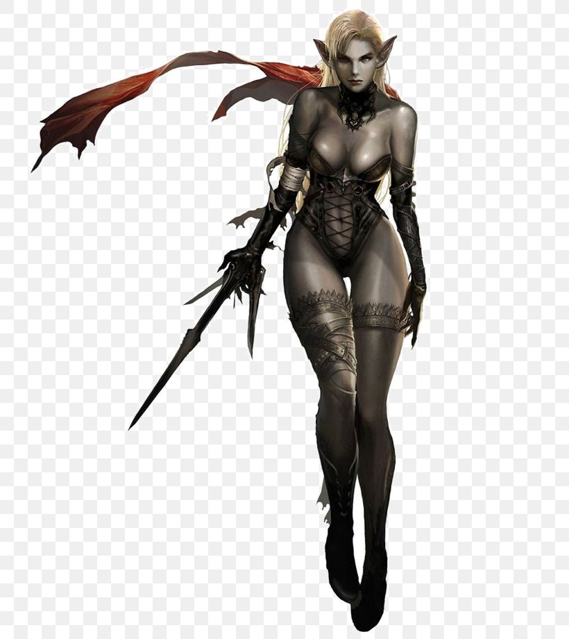 Lineage II Dungeons & Dragons Dark Elves In Fiction Elf, PNG, 736x920px, Lineage Ii, Action Figure, Armour, Costume, Costume Design Download Free