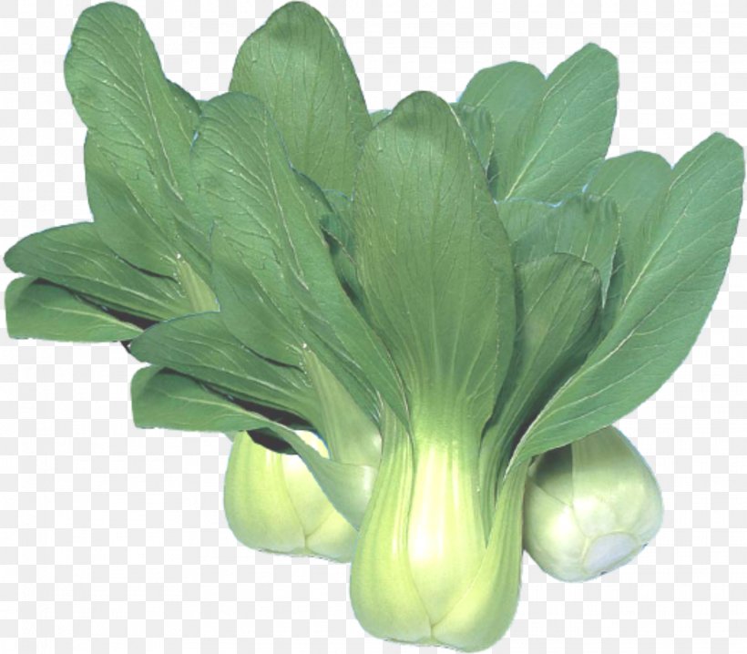 Chinese Cabbage Choy Sum Vegetable Napa Cabbage, PNG, 2028x1776px, Cabbage, Bok Choy, Brassica Oleracea, Chinese Cabbage, Choy Sum Download Free