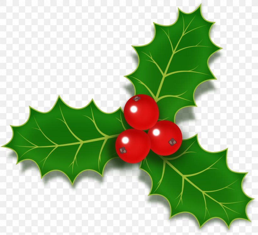 Christmas Designs Clip Art Common Holly Vector Graphics Image, PNG, 981x895px, Christmas Designs, American Holly, Berries, Christmas Day, Christmas Tree Download Free
