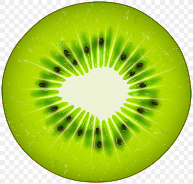 Kiwifruit Illustration Image Drawing, PNG, 5000x4773px, Kiwifruit, Art, Close Up, Drawing, Food Download Free