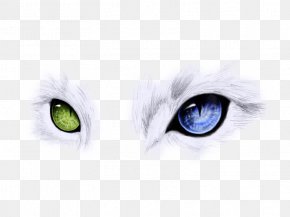 Blue Eyes Blue Images, Blue Eyes Blue Transparent PNG, Free download -
kucing got 2 eyes