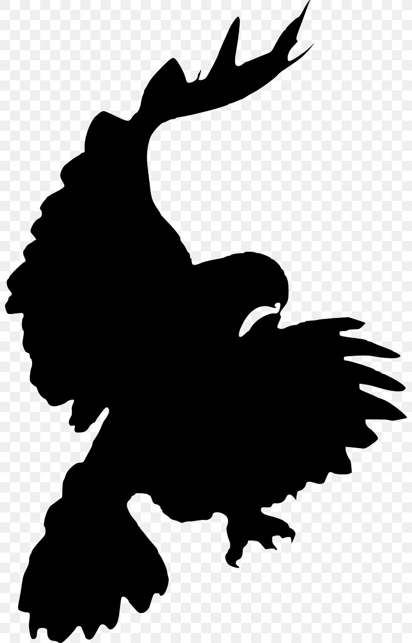 Clip Art, PNG, 800x1280px, Wheel Of Time, Artwork, Beak, Bird, Black Download Free