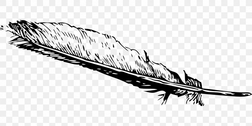 Feather Clip Art, PNG, 1920x960px, Feather, Beak, Bird, Black And White, Claw Download Free