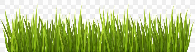 Lawn Garden Clip Art, PNG, 8000x2142px, Lawn, Chrysopogon Zizanioides, Commodity, Deviantart, Garden Download Free