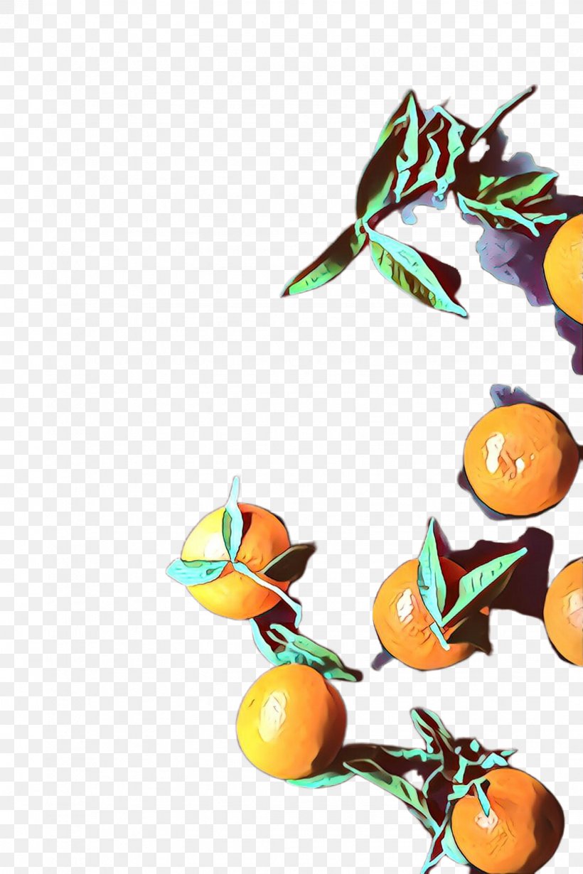 Orange, PNG, 1632x2448px, Mandarin Orange, Citrus, Clementine, Fruit, Kumquat Download Free