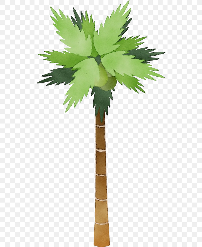 Palm Tree, PNG, 524x1000px, Watercolor, Arecales, Desert Palm, Green, Leaf Download Free